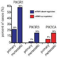 Figure 1: Expression of PIK3R1