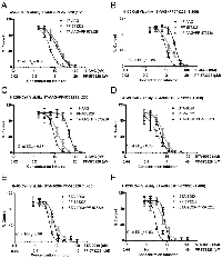 Figure 1: Co-treatment with Hsp90 and FAK inhibitors synergistically reduce the growth of NSCLC cells. 