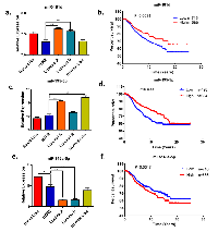 Figure  2:  Expression  and  prognostic  values  of  miR-181d,  miR-195-5p  and  miR-146a-5p  in  clinical  breast  cancer  samples. 