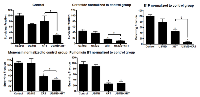 Figure 6:  Clonogenic survival assays and ceramide modulation. 