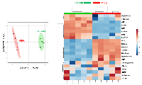 Figure 1: 1C metabolomic profiling of iPS cells. 