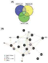 Figure 1: Identification of EZH2 as a potential therapeutic target for HCC treatment. 