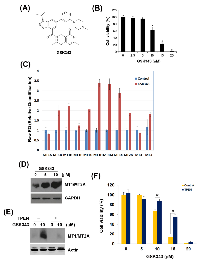 Figure 3:  Effect of GSK343 on the cell viability and MT gene expression. 