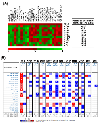 Figure 4:  The correlation of EZH2 and MT genes in cell lines and cancer tissues. 