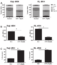 Figure 2:  Raji 4RH and RL 4RH cell lines were treated with 10μM etoposide for 72 hours and assessed for A.