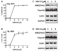 Figure 3:  Raji 4RH and RL 4RH cell lines were treated with indicated concentrations of GSK126 for 14 days. 