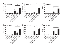 Figure 5:  Raji 4RH and RL 4RH cell lines were treated as indicated for 14 days.  A-F. 