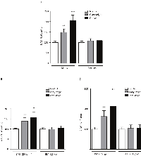 Figure 2: A.