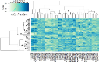 Figure 1: Heat map cluster of the Illumina gene sequencing results. 