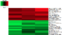 Figure 3: Circadian disruption causes changes to disease related and breast cancer relevant pathways in the 2-week  chronic ZT19 group. 