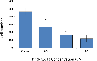 Figure 5:  hrRNASET2 dose-dependent inhibition of cell migration. 