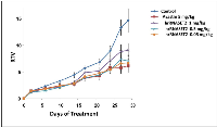 Figure 7:  Inhibition of HT-29 colon cancer cells in a xenograft mouse model. 