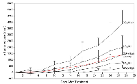 Figure  5:  Tumor  growth  delay  per  treatment  group  (n=3),  expressed  as  a  change  in  tumor  volume  (mm3),  and  monitored over a total duration of 28 days. 