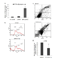 Figure 1: miR-125a-3p impairs cell cycle,  viability and induces apoptosis. 