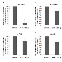 Figure 4:  The effect of miR-125a-3p on hallmark genes in prostate cancer. 