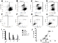 Figure 5:  Flow cytometric analysis of cell death stages as a function of paclitaxel treatment for A, E. no treatment  control; B, F. 6 hour treatment; C, G. 12 hour treatment; D, H. 24 hour treatment.