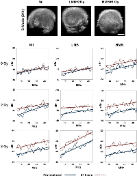 Figure 1: Representative B-Mode US of tumors and power spectra of samples under treatment conditions.