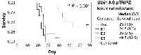 Figure 5:  Intracranial (i.c.) xenograft formation assay of U251-NS.