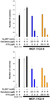 Figure 6:  Pharmacological inhibition of FASN activity impedes estrogen-independent cell growth of CCN1- overexpressing breast cancer cells.