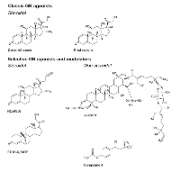 Figure 2:  Chemical structures of discussed GR-targeting compounds. 