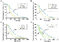 Figure 3:  Kaplan-Meier estimates of survival for astrocytic tumor patients.