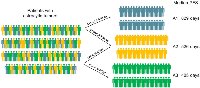 Figure 4:  A1-A2-A3 Model for classification of astrocytic tumors based on ATRX, Ki-67 and IDH1-R132H status. 