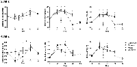 Figure 2:  High-frequency ultrasound spectral parameters for 20 MHz (top row) and 40 MHz (bottom row) center  frequencies for time-course treatments.