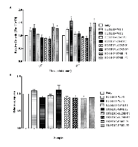 Figure 2: Impact of de novo overexpression of HOXB13-Wt and HOXB13 variants in proliferation and apoptosis. 