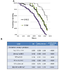 Figure 7: A. illustrates the rate of tumor development of lung adenocarcinomas from each of the four genotypes over the 60-week experimental period. B. shows the comparisons of various genotypes along with the hazard ratios (HR) and 95% con dence intervals (CI). The p-values obtained from a Cox proportional hazard model are also given.