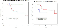 Figure 1:  Kaplan Meier plot of probability of recurrence by NY-ESO-1 and by MAGEA status.