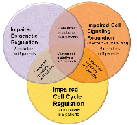 Figure 1: Areas of dysregulation identified on molecular profiling of CUP.