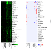 Figure 1: Agglomerative unsupervised hierarchical clustering of Ingenuity Pathway Analysis p-values and Z-activation  scores associated with each VASARI features and IPA Canonical Pathways reveal a subset highly-correlated with  pathway alterations.