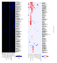 Figure 2:  Agglomerative unsupervised hierarchical clustering of Ingenuity Pathway Analysis p-values and Z-activation  scores associated with each VASARI features and IPA Diseases and Bio-functions correlated with biological dysfunction. 