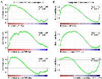 Figure 2:  Increased expression of TJP1 is associated with upregulation of TAZ-TEAD activity and adult stem cell genes  in LP-1/Cfz cells and TT3 protocol patients with relapsed/refractory disease (GEO: GSE31161). 