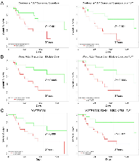 Figure 4:  Prognostic value of TJP1 expression in MM patient survival outcomes. 