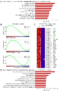 Figure 5:  Gene Ontology terms and canonical pathways involving cell contacts are enriched in LP-1/Cfz cells and TT3  protocol patients (GEO: GSE31161) with increased TJP1 levels at relapse. 