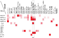 Figure 5:  Protein levels of Notch receptors, ligands, and Fringes in various human tissues.