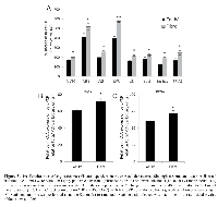 Figure 5: Proliferation rates of angiosarcoma cells are dependent on the extracellular matrix. Six angiosarcoma and two non-diseased
endothelial cell lines were plated on highly preferred substrates (fibronectin) or less preferred substrates (collagen IV) for 48 hours. (A)
Cell number was quantified using manual counts. All data are depicted as the % change in cell number at 48 hours relative to the time of
initial plating. (B & C) qPCR detection of Ki-67 (B) and PCNA (C) mRNA in SVR cells after 48 hours growth on fibronectin or collagen
IV. Statistical analysis was performed using the Studentâ€™s t-test method. Statistical significance was determined if the two-sided p value
of the test was < 0.05. 