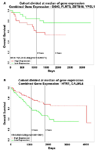 Figure 4:  Kaplan-Meier survival estimates of human  colon cancer patients with alterations in novel  transcripts from colonic ρ0 cells. 