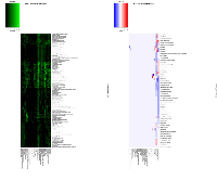 Figure 2:  Representative pattern of associations between BRCA imaging features and IPA Canonical Pathways based  on (A) p-values and (B) activation Z-scores. 