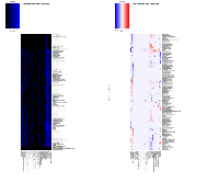 Figure 3:  Representative pattern of associations between BRCA imaging features and IPA Diseases and Bio-Functions  based on (A) p-values and (B) activation Z-scores. 