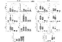 Figure 3:  PCR results for mRNA levels in PCI13 and A549 cells co-incubated with plasma exosomes from HNSCC  patients undergoing PDT. 