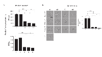 Figure 5:  Proliferation of cancer cells co-incubated with plasma exosomes obtained from HNSCC patients undergoing  PDT.  