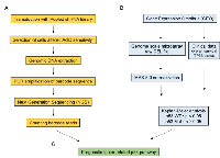 Figure 1: Flowchart of prognosis-related gene identification for targets involved in the p53 pathway by combining  pooled shRNA library screening and bioinformatics analysis.  (A) 