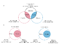 Figure 4:  Identification of genes associated with survival in patients with cancer with regard to p53 mutation status  using bioinformatics.  (A) 