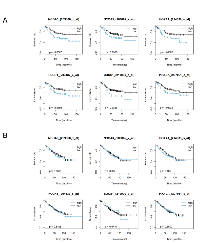 Figure 6:  Expression of selected candidate genes influenced the survival of patients with colorectal cancer in a p53- dependent manner. 
