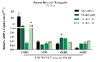 Figure 1: Treatment of TNBC PDX explants recapitulates results observed in TNBC cell lines.  