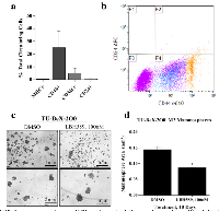 Figure 3:  TU-BcX-2O0 has cancer stem cell-like characteristics and can be utilized in therapeutic discovery  experiments.  (A) 