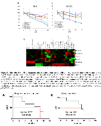 Figure 2:  Non-selective β-AR antagonists reduce angiosarcoma cell viability more effectively than selective antagonists.