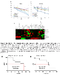 Figure 3:  Non-selective β-AR antagonists increase PSF and OS in patients with metastatic angiosarcoma.  